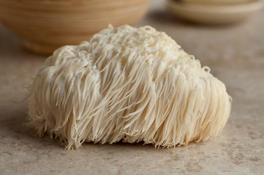 Lion's Mane Mushrooms for Dogs – Unlocking the Potential Health Benefits