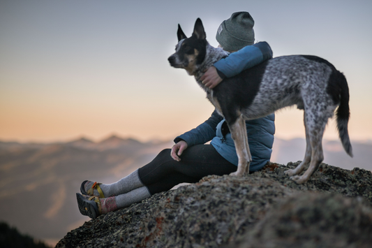 A woman joyfully giving a high five to her dog, illustrating the bond between pet and owner in a blog about the benefits of medicinal mushrooms for dogs.