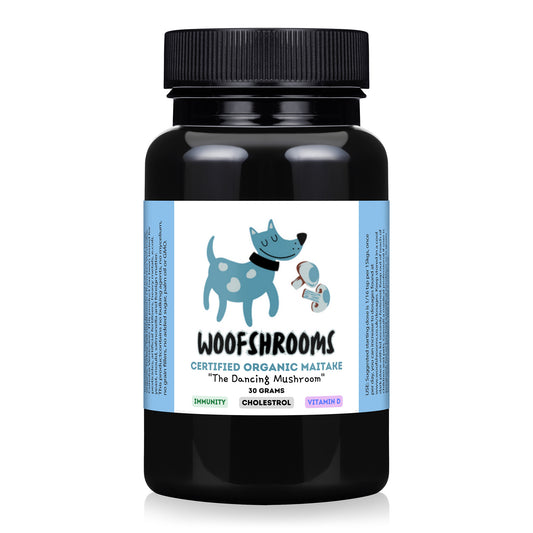 Organic Maitake mushroom powder with benefits for dogs.